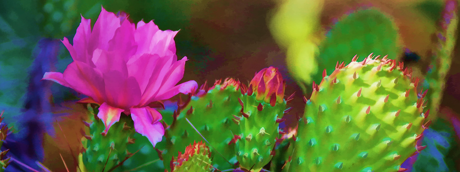 1205_9049b3x8